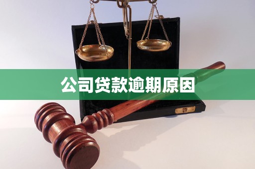 公司貸款逾期原因