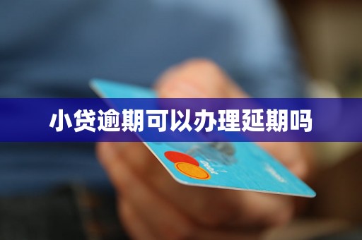 小贷逾期可以办理延期吗