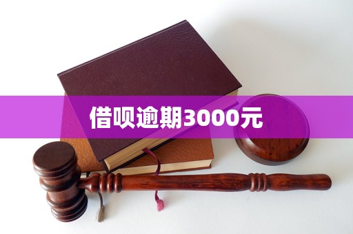 借唄逾期3000元