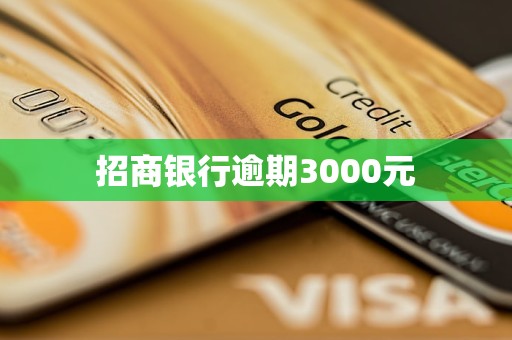 招商銀行逾期3000元