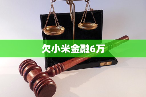 欠小米金融6萬