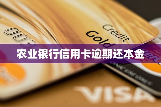 農(nóng)業(yè)銀行信用卡逾期還本金