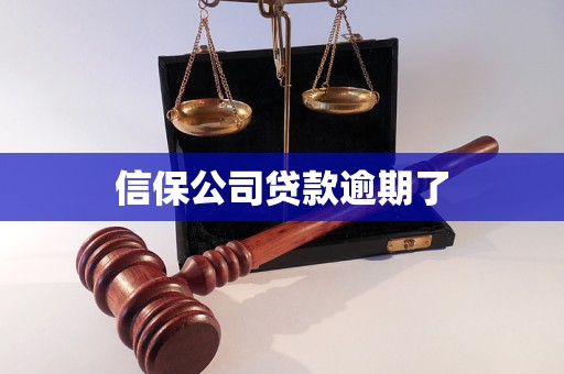 信保公司貸款逾期了