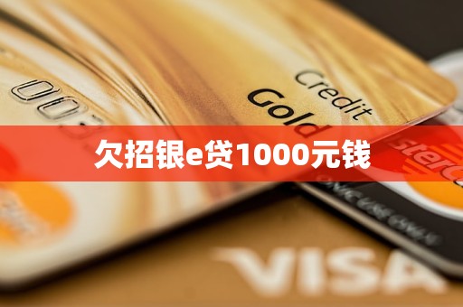 欠招銀e貸1000元錢