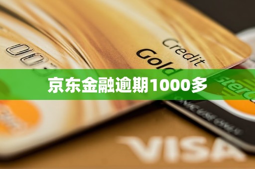 京東金融逾期1000多