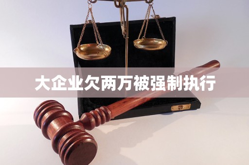 大企業(yè)欠兩萬被強(qiáng)制執(zhí)行