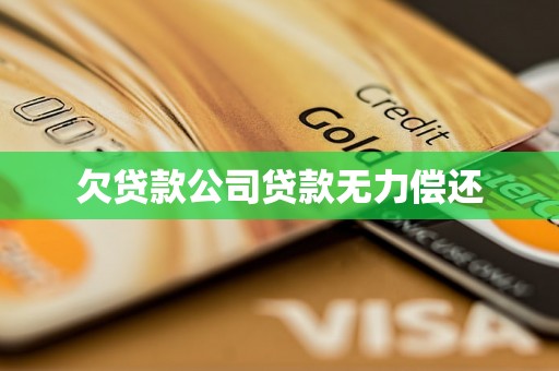 欠贷款公司贷款无力偿还