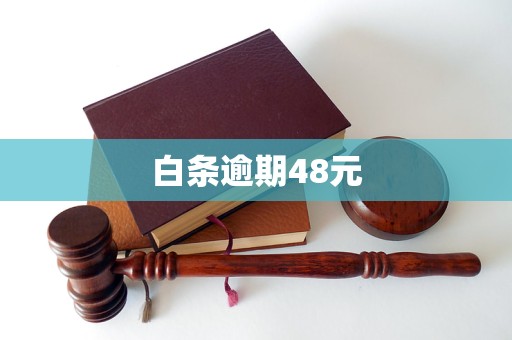 白條逾期48元