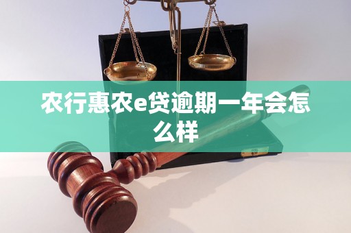 农行惠农e贷逾期一年会怎么样