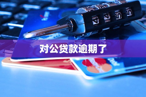 对公贷款逾期了