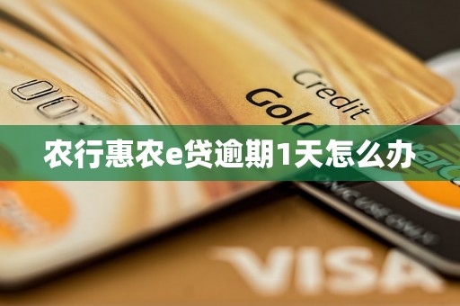 农行惠农e贷逾期1天怎么办 农行惠农e贷逾期1天怎么办