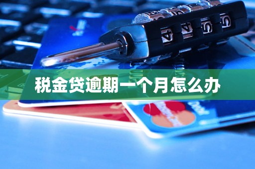 税金贷逾期一个月怎么办