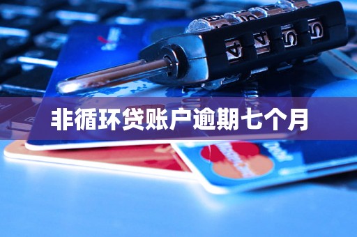 非循环贷账户逾期七个月 非循环贷账户逾期七个月