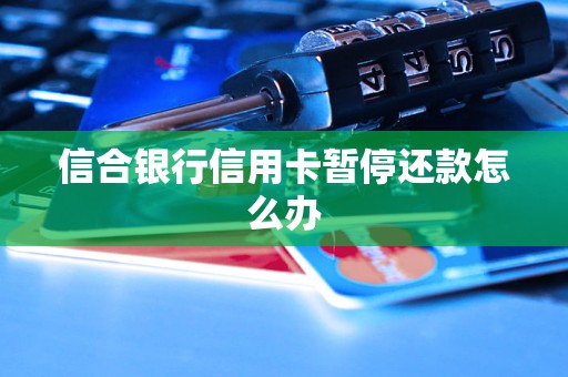 信合銀行信用卡暫停還款怎么辦