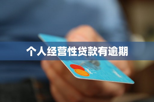个人经营性贷款有逾期 个人经营性贷款有逾期