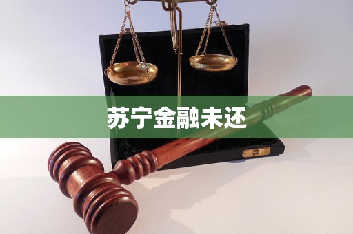 蘇寧金融未還