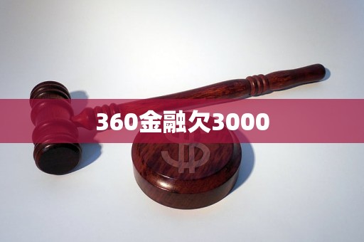 360金融欠3000