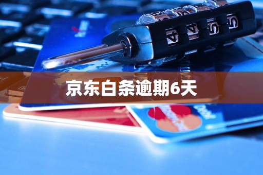 京东白条逾期6天