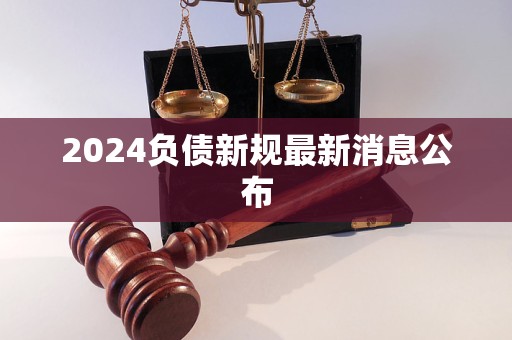 2024負(fù)債新規(guī)最新消息公布