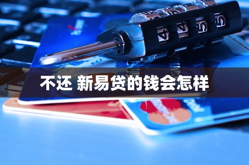 不还 新易贷的钱会怎样