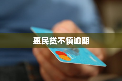 惠民贷不慎逾期