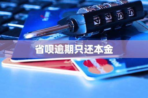省呗逾期只还本金