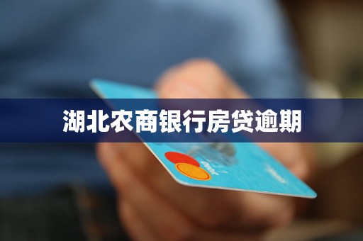 湖北農(nóng)商銀行房貸逾期