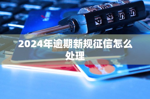 2024年逾期新規(guī)征信怎么處理