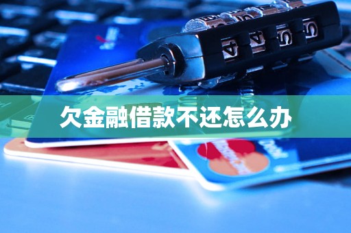 欠金融借款不还怎么办 欠金融借款不还怎么办