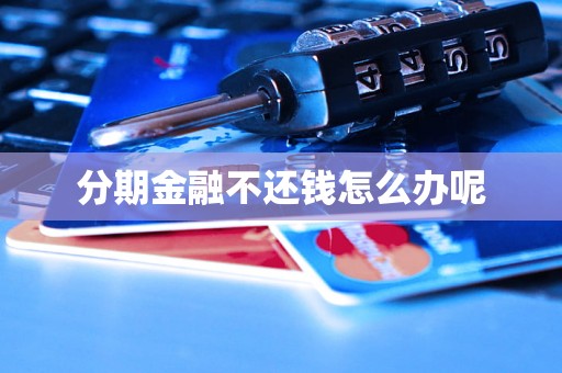 分期金融不还钱怎么办呢