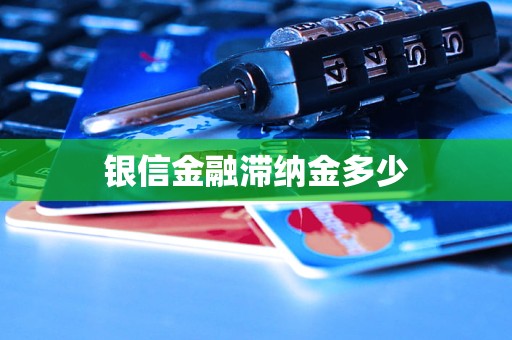 銀信金融滯納金多少