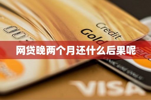 网贷晚两个月还什么后果呢