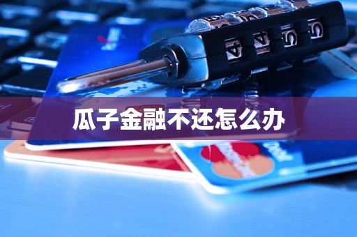 瓜子金融不还怎么办