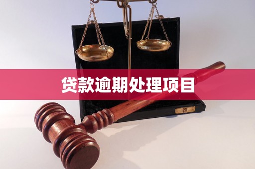 贷款逾期处理项目
