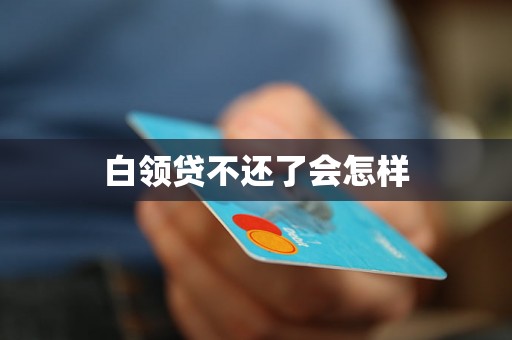 白领贷不还了会怎样