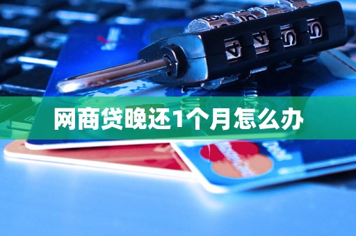 网商贷晚还1个月怎么办 网商贷晚还1个月怎么办