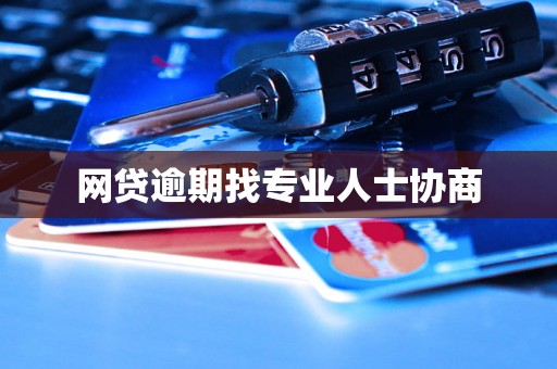 网贷逾期找专业人士协商