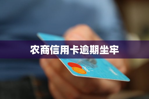 農(nóng)商信用卡逾期坐牢