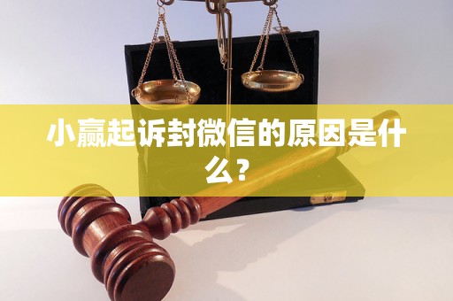 小赢起诉封微信的原因是什么？