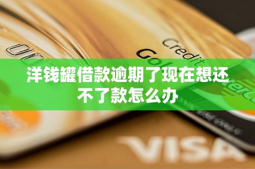 洋钱罐借款逾期了现在想还不了款怎么办