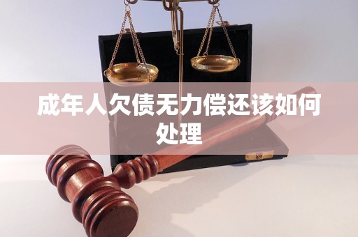 成年人欠債無力償還該如何處理