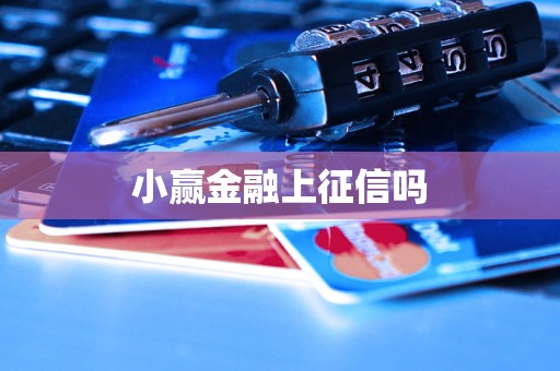 小赢金融上征信吗