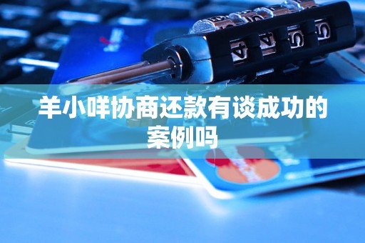 羊小咩协商还款有谈成功的案例吗
