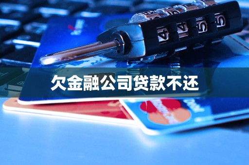 欠金融公司貸款不還