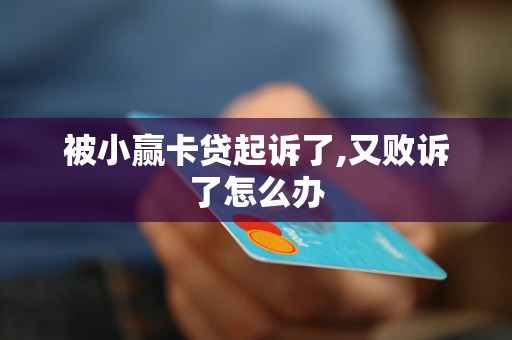 被小赢卡贷起诉了,又败诉了怎么办
