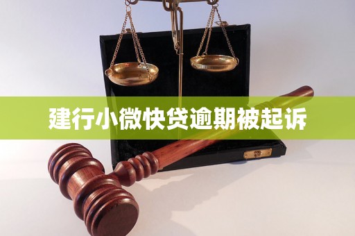 建行小微快贷逾期被起诉