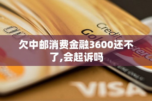 欠中邮消费金融3600还不了,会起诉吗