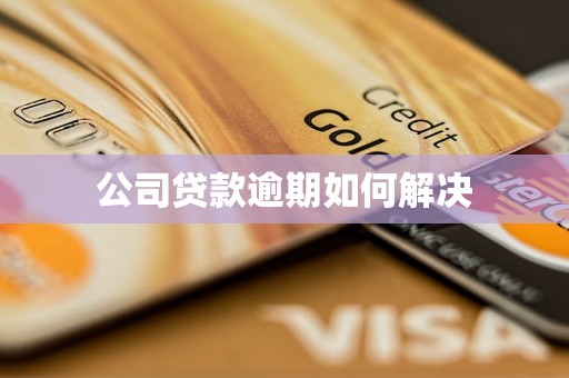 公司贷款逾期如何解决