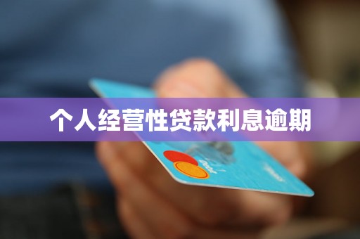 个人经营性贷款利息逾期