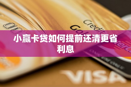 小赢卡贷如何提前还清更省利息